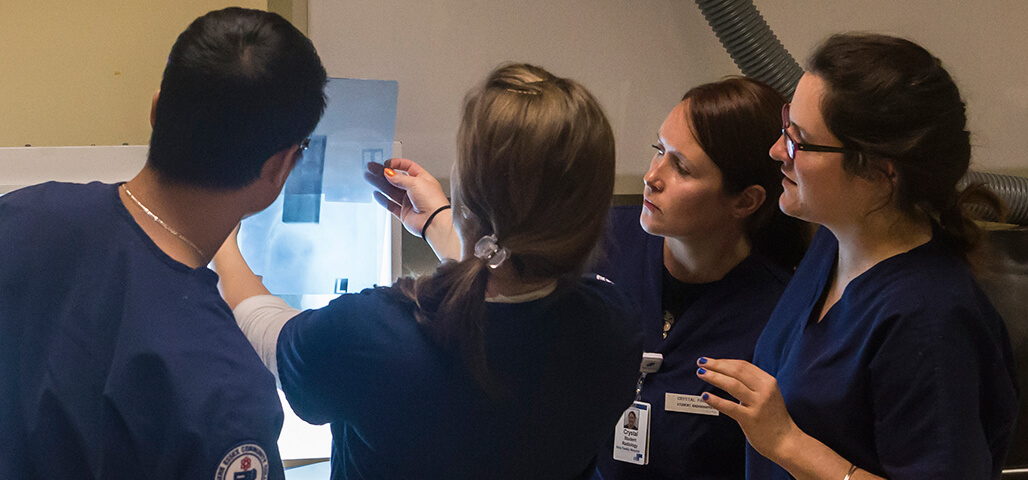 Four students in the Radiologic Technology program at NECC examine an X-ray.