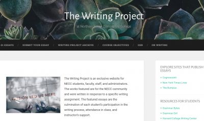 Website for the Writing Project