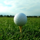 NECC Plans Golf Tournament