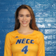 NECC Volleyball Players Named to All-Region Teams  