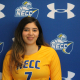 National Honors for NECC Volleyball Player