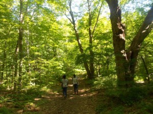 Healthy Hiking is just one of the dozens of course offerings at NECC's STEM College for Kids at Quarrybrook summer program.