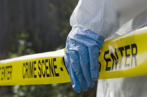 Work your way through crime scene forensic stations.