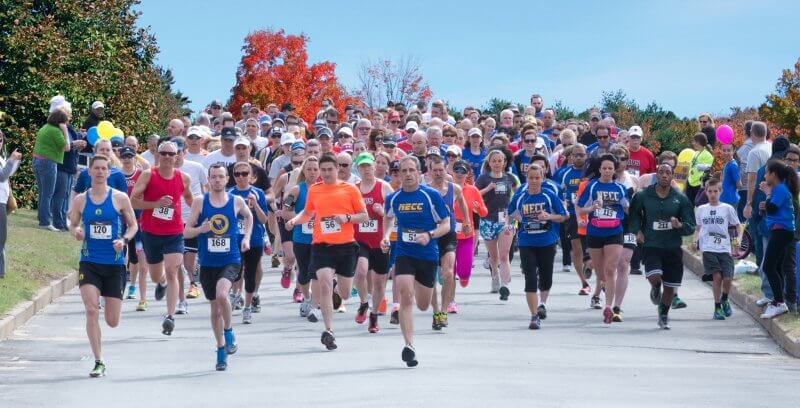 A pack of runners in the Campus Classic