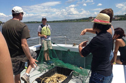 People on a boat doing some sort of fishing experiment with a net and some rope.