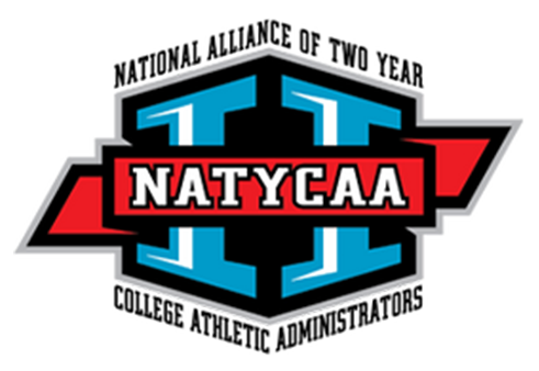 NATYCAA logo