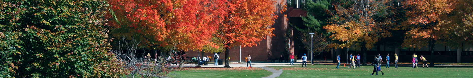 Any day at the college campus