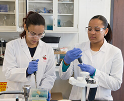 students working in a lab